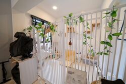 Blk 420C Waterfront II @ Northshore (Punggol), HDB 5 Rooms #553488831